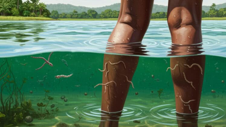 Schistosomatoza – groźna choroba pasożytnicza z wód Afryki