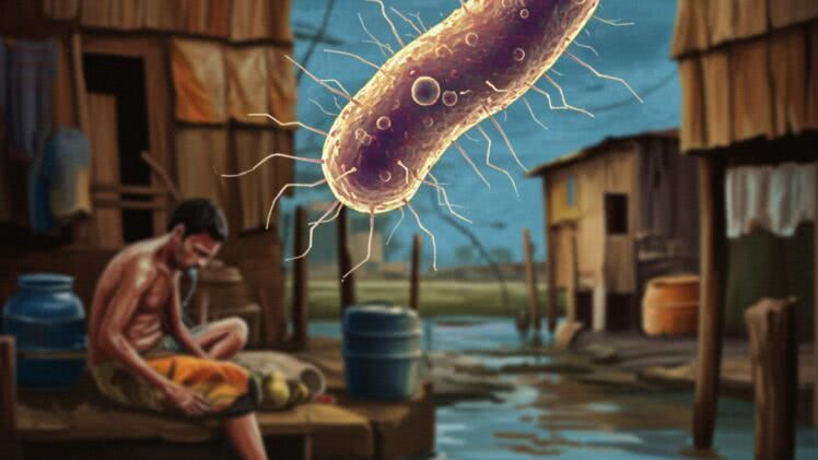 Cholera – groźna choroba przenoszona przez wodę